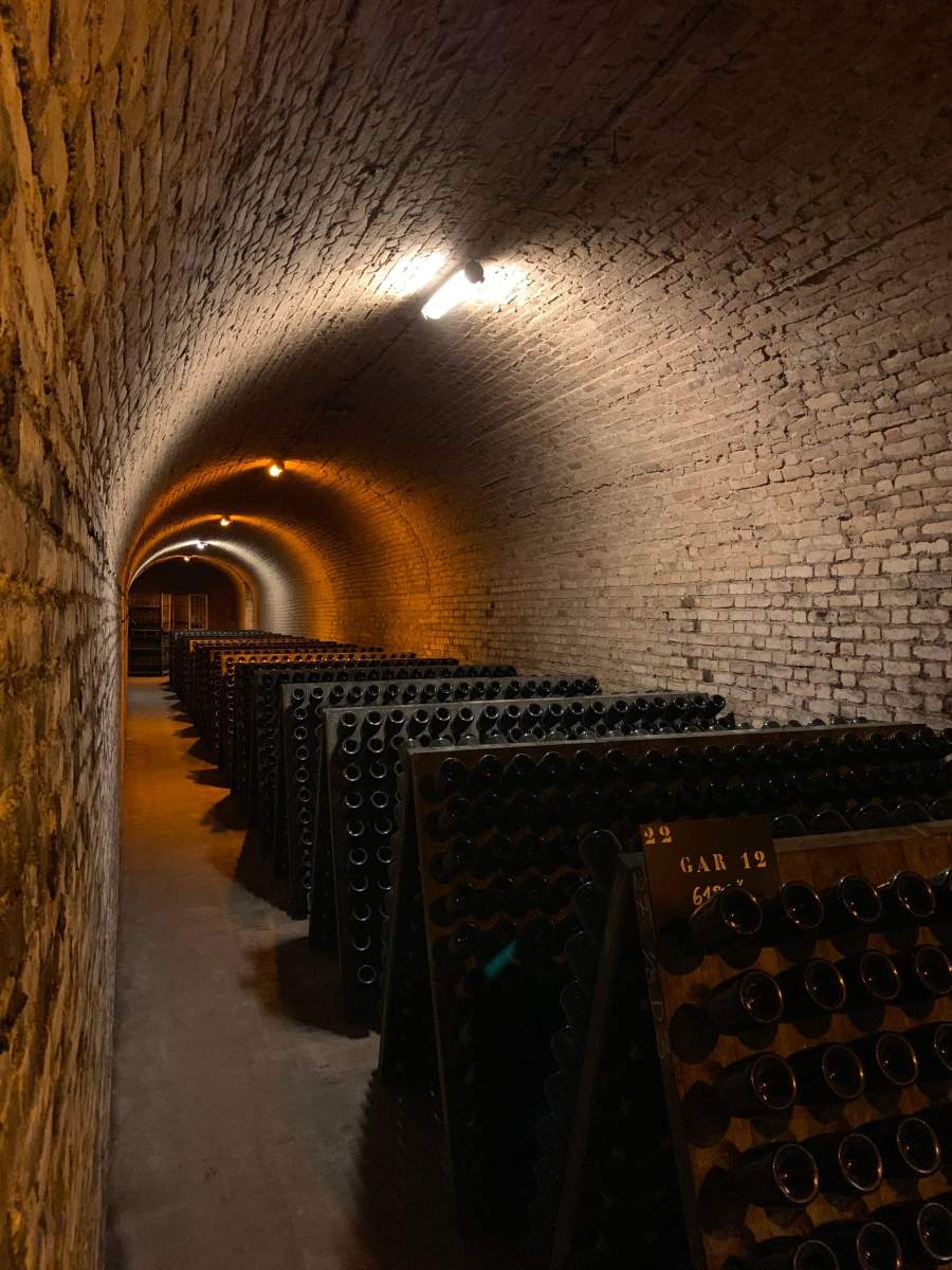 Wine cellar in the Yonne at Chassy| Domaine &amp; Golf du Roncemay | 4 star hotel Auxerre